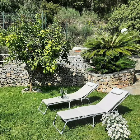 Villa Mediterranean Garden *