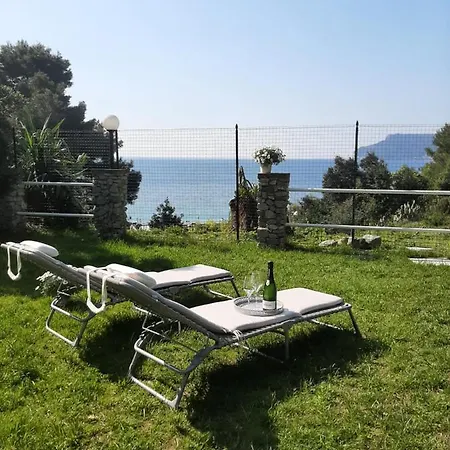 Mediterranean Garden