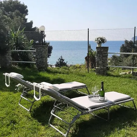 Mediterranean Garden