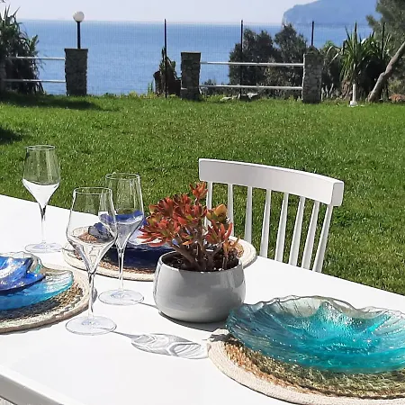 Villa Mediterranean Garden