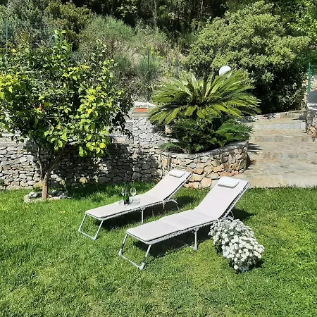 Villa Mediterranean Garden