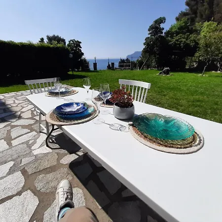 Mediterranean Garden