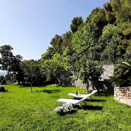 Mediterranean Garden