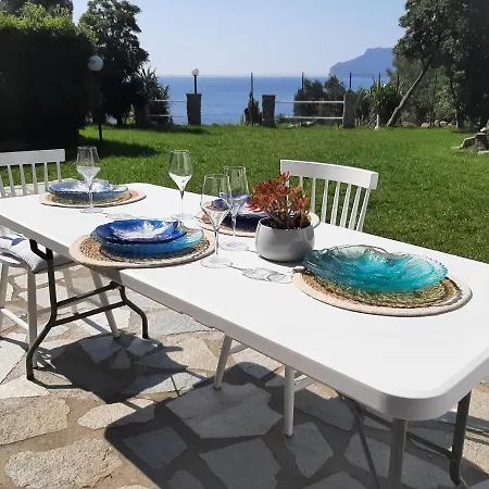 Mediterranean Garden *
