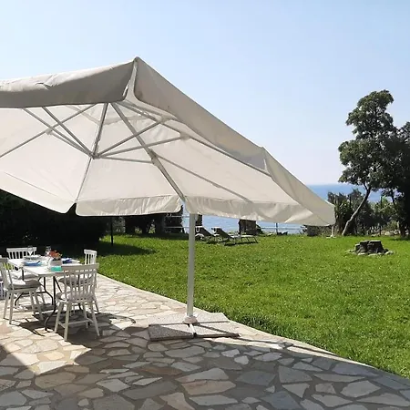 Mediterranean Garden *