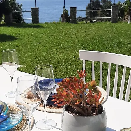 Mediterranean Garden Villa