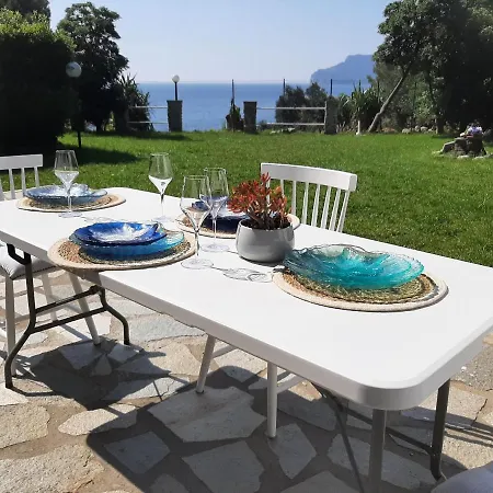 Mediterranean Garden