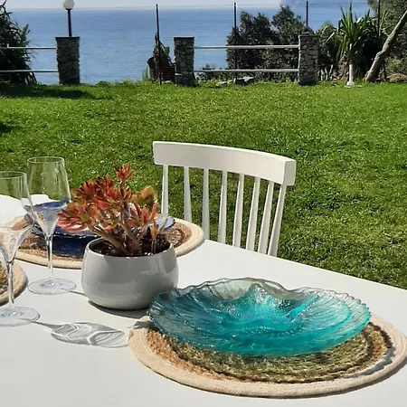 Mediterranean Garden *